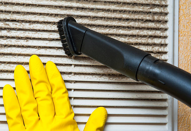 Best Home Air Vent Cleaning  in Fort Wayne, IN
